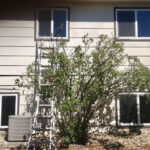 Previous Completed Job - Hail Restoration